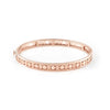 Belle Époque Reel Pink Gold Bracelet, 6mm